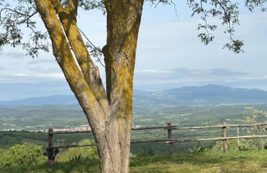 LA CAPANNA Casale in pietra con piscina - Foto 18