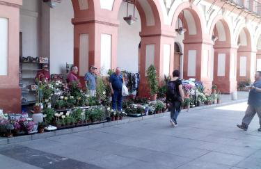 Lineros 24 - Foto 24