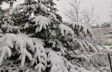 Casa Largo S Lourenço e Casa da Videira - Photo 38