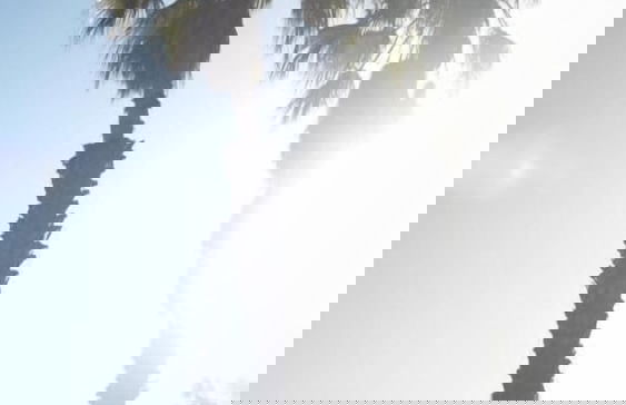 Casa do Cruzeiro - Foto 23