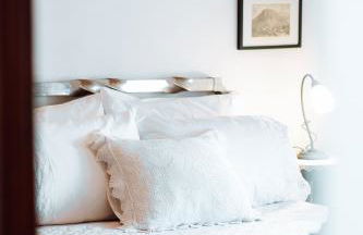 Olive Roots - Foto 14