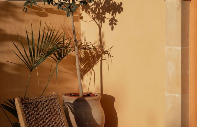 IUTA Glamping & Farm - Foto 25