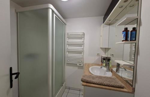 petit T2 de la fosse à l'âne - Photo 7