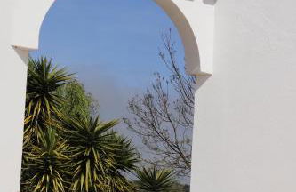 Ninho Da Poupa - Foto 14