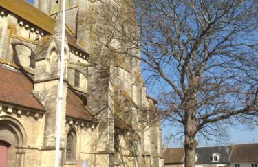 Maison de la Grève - Photo 26