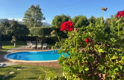 Green paradise with Etna view - Foto 49