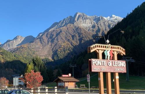 Blue Mountain - Foto 26