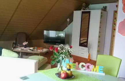 Zimmer und Apartment Rosi - Foto 32