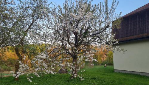 Dom Na Wzgórzu - Foto 4, Garden, Garden view