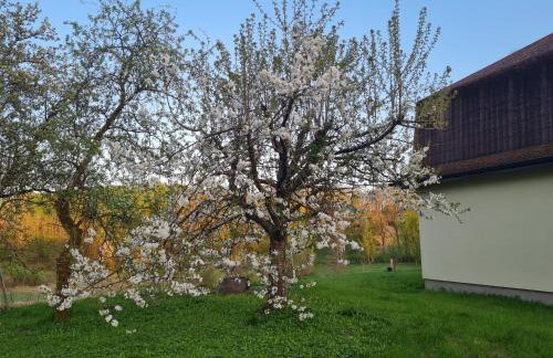 Dom Na Wzgórzu - Foto 4