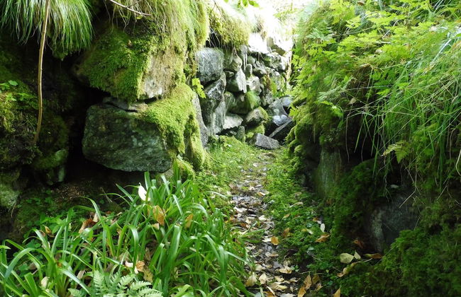 Fiskesenter Birkeland - Photo 50