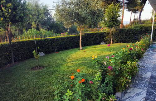 Studio Kalypso - Foto 10