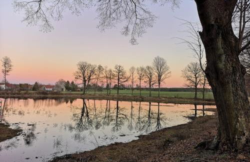 Ferienhaus Waldblick - Foto 15