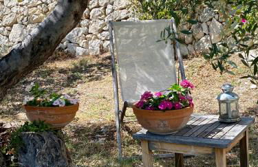 Villa in Gargano - VILLA BASSO - Foto 68