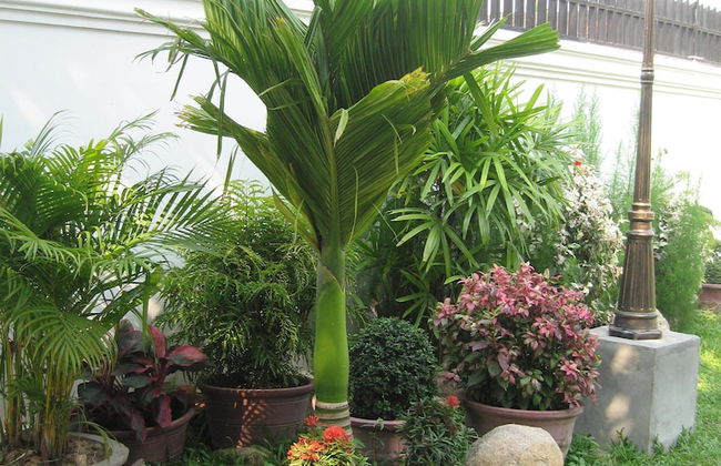 Steung Siemreap Residences & Apartment - Photo 51