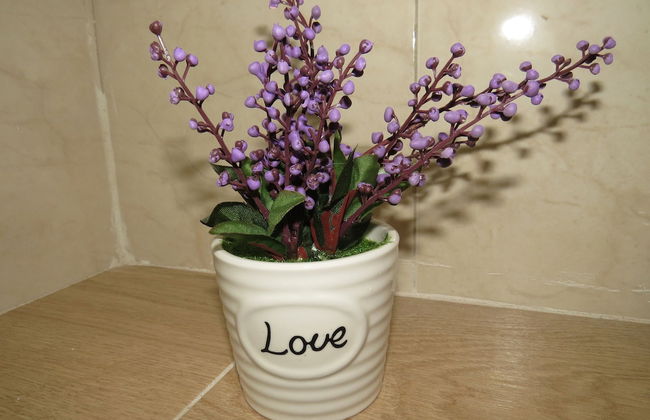 Agas holiday apartments Tiberias - Photo 16