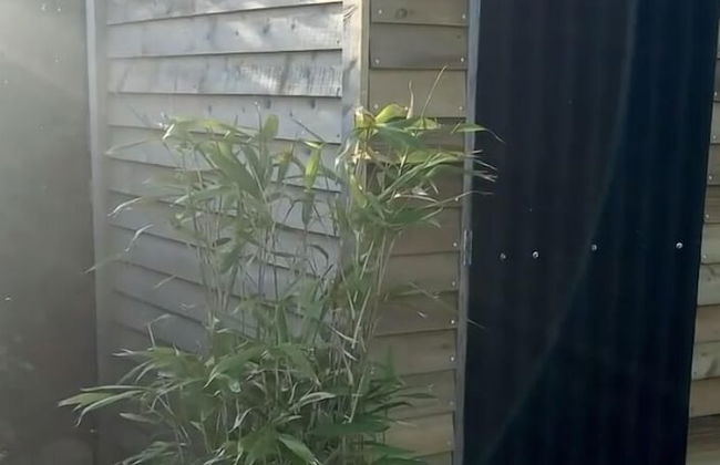 Rame- 2 Bedroom Safari Cabin Tent - Foto 10