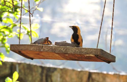 Casa para temporada - Foto 11