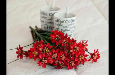 Horto Bay Studios - Foto 21