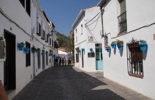 Elviria Apartment - Photo 51