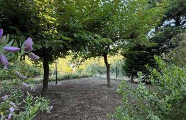 Aylida House - Foto 22