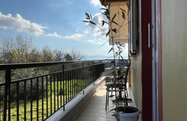 Vivian Philoxenia - Foto 39