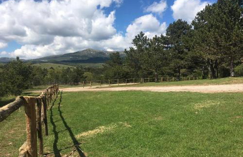 4 Seasons House - Photo 40