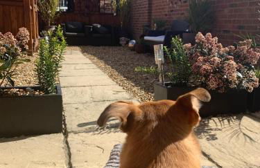 Stylish 3 bedroom townhouse for 5 guests, set in the medieval grid with off street parking - Foto 22