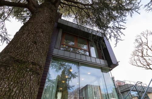 Mamma Ciccia - ecofriendly villa on Lake Como - Foto 2