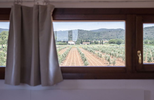 Agriturismo Terre di Castiglione - Foto 38