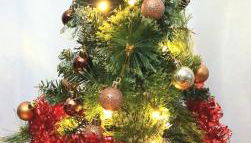 Appartement 1ere ligne piscine terrasse au bord de la plage front de mer avec vélos - Foto 5