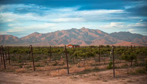 Casa Grande - Foto 5