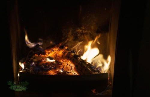 Ferienwohnung Grüne Auszeit mit Kaminofen und Terrasse - Foto 11