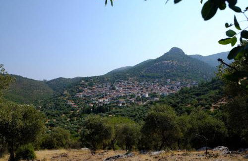 Ladanos Apartment Thassos - Foto 12