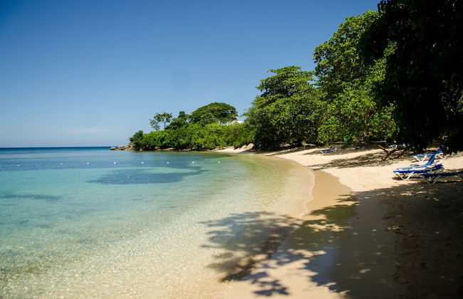 Tropics at Little Bay Country Club - Photo 27