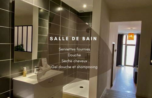 LE LOFT - Studio ouvert, salle de bain italienne, idéal couples - Foto 10