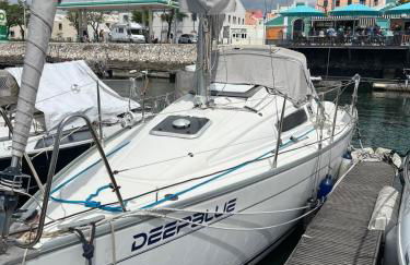 DeepBlue sail boat - Photo 3