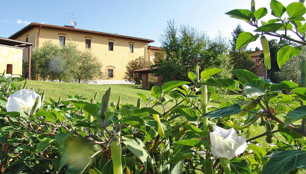 Agriturismo Poggio al Sole, Vinci - Foto 5, Exterior