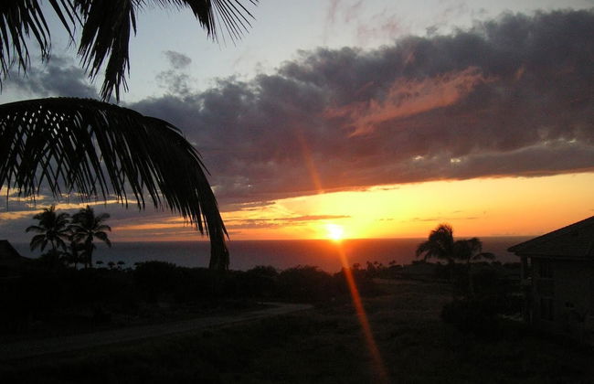 Wai'ula'ula D201 - Photo 36