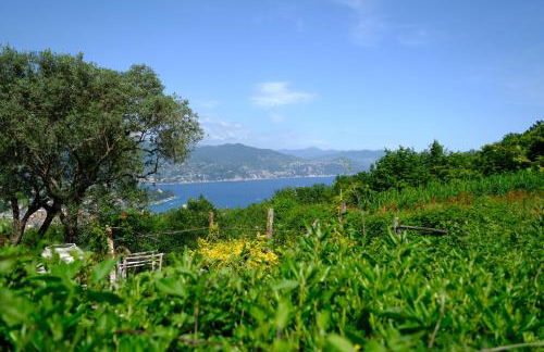 Casa Collina by PortofinoVacanze - Foto 68