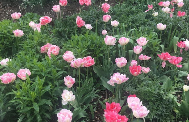 2 Bedroom two Bathroom Sunset Lodge Heachambeach - Photo 20