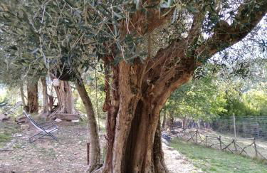 la masseria di Antonio e Teresina - Foto 24