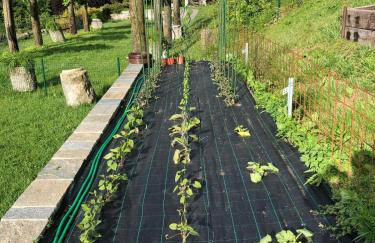 Bellagio Lake View apartment Rosabella with swimming-pool - Foto 38