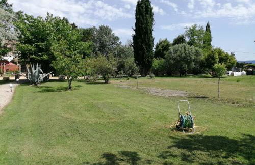 Mas Maurane - L'Olivier avec SPA privé aux portes d'ARLES - Foto 37