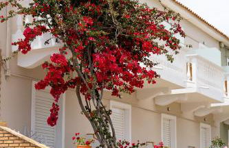 Asteri Studios - Photo 21