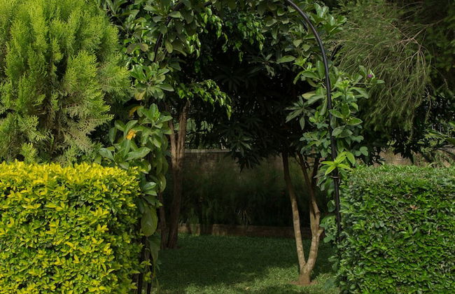 Villa Karibu - Photo 46