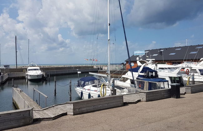 "Golubinka" - 500m from the sea - Foto 11