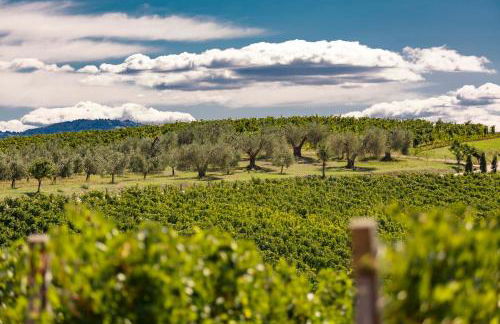 Pecora Vecchia - ColleMassari Hospitality - Foto 9