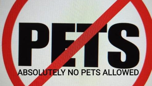 Cowart Chattown Southside - Foto 3