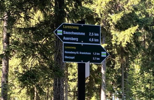 Ferienapartments Försterei Eibenstock - Foto 49